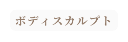 ボディスカルプト